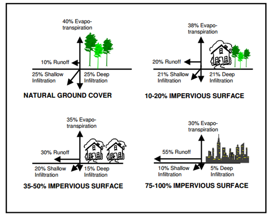 An infographic showing the environmental impact of stormwater runoff