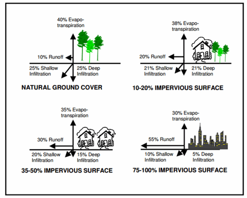 Impervious Pavement Impacts - Custom Park Surfacing An infographic showing the environmental impact of stormwater runoff