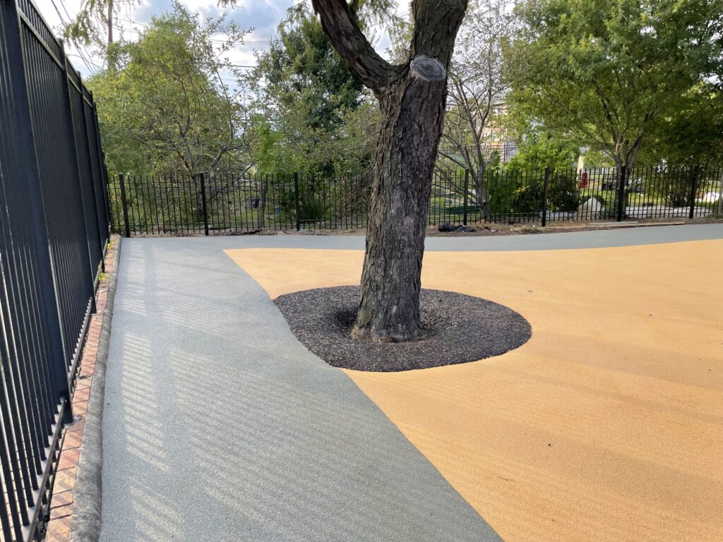 Savoy Elementary School - Custom Park Surfacing - poured rubber and flexi-pave-view of a tree's root system protected by flexi-pave