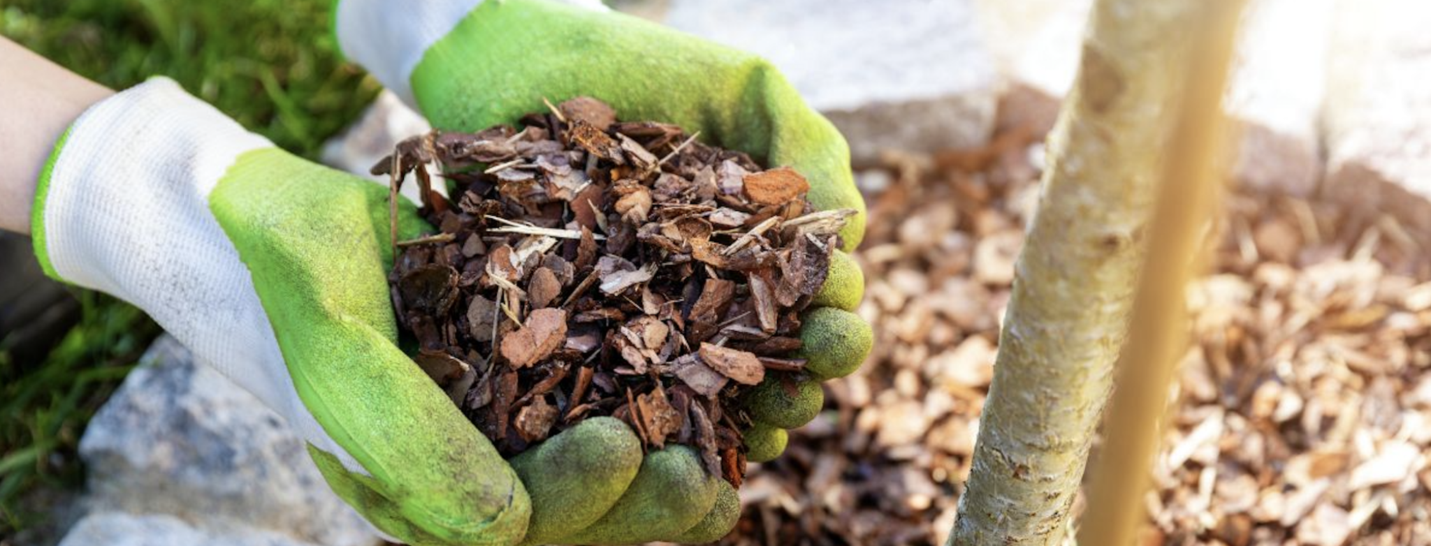 Does Mulch Glue Work On Rubber Mulch? Custom Park Surfacing